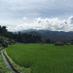 Scenic view of landscape against cloudy sky