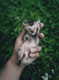 Midsection of person holding hand against blurred background