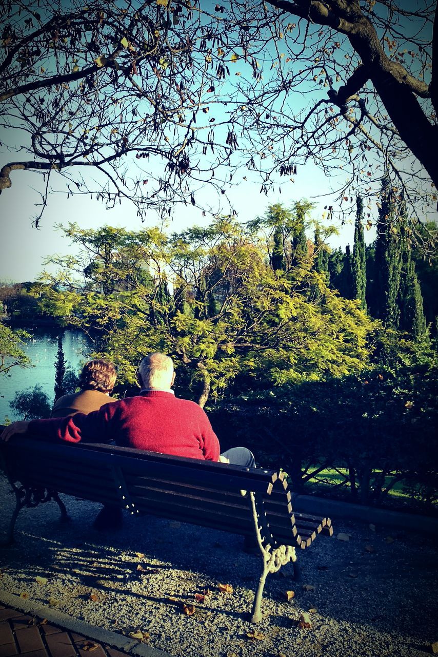 sitting, two people, rear view, tree, real people, togetherness, outdoors, day, sky, men, adults only, adult, people