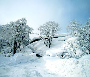 White snow winter pile wonderland beautiful