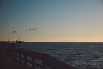 Seagull flying over sea against clear sky during sunset