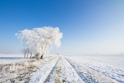 Snow covered field against clear sky