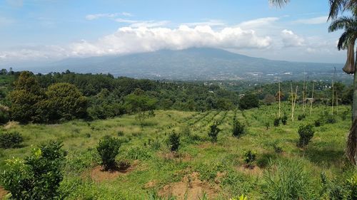 Scenic view of landscape against sky