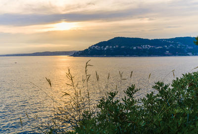 Scenic view of sea against sky during sunset