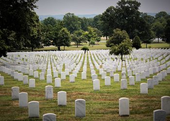 Tombstones at cemetery against trees