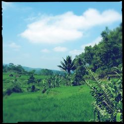 Scenic view of field against cloudy sky