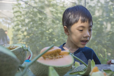 Close-up of boy standing by muskmelons