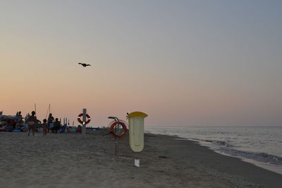 Seagull flying over beach against clear sky during sunset