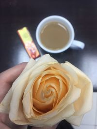 Cropped hand of person holding rose