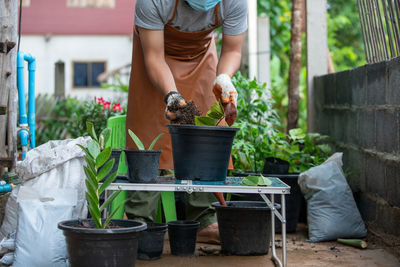 Rear view of man working on potted plant