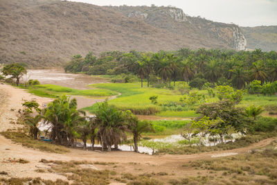 High angle view of people on landscape