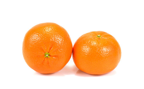 Close-up of orange fruit against white background