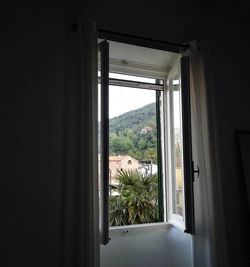 Trees seen through home window