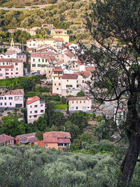 Buildings in town