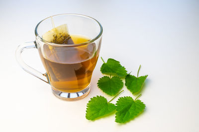 Nettle infusion in transparent cup, a sachet in water, a white saucer  and nettle leaves. 
