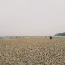 Scenic view of beach against clear sky