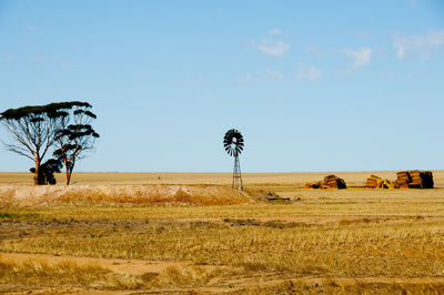 Scenic view of field against clear sky