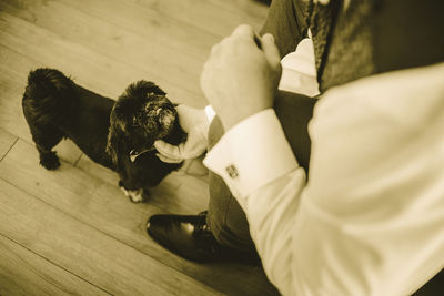 High angle view of dog on hardwood floor at home