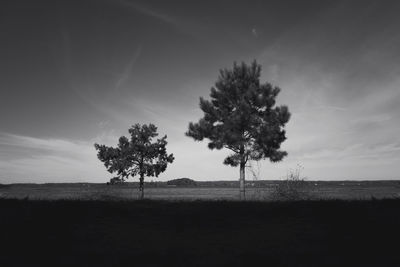 Silhouette tree on field against sky