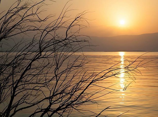 sun, sunset, water, tranquil scene, scenics, tranquility, reflection, beauty in nature, nature, idyllic, lake, sunlight, orange color, silhouette, sky, sea, bare tree, branch, sunbeam, plant