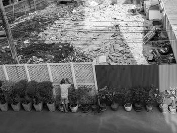 Rear view of girl standing by plants