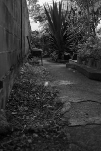 Surface level of footpath amidst buildings