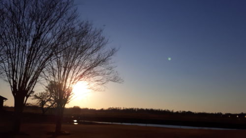 Silhouette bare trees against sky during sunset