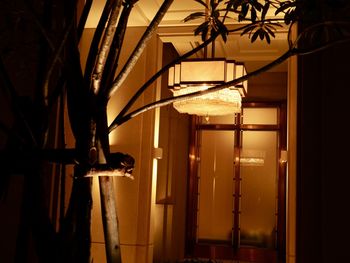 light