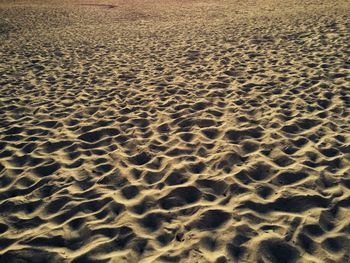 Full frame shot of sand dune