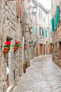 Narrow alley amidst buildings in city