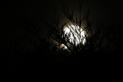 Low angle view of silhouette bare trees against sky at night