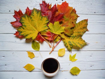 High angle view of maple leaves on table