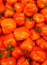 High angle view of tomatoes for sale at market stall