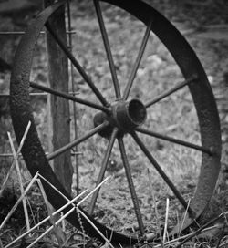 Close-up of wheel