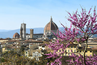 High angle view of flowering trees and buildings against sky