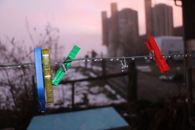 Close-up of clothespins on tree against sky