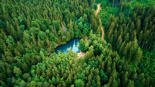 Aerial view of blue colored forest lake in poland