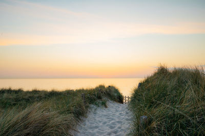 A wooden hiking trail leading to the beach at sunset