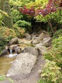 Stream flowing through rocks in forest