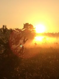 Scenic view of field against sky during sunset
