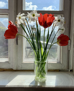 Close-up of red roses in vase against window