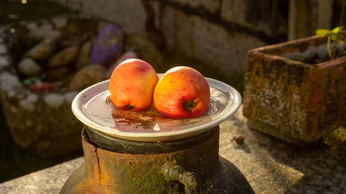 Two apples on a plate with water