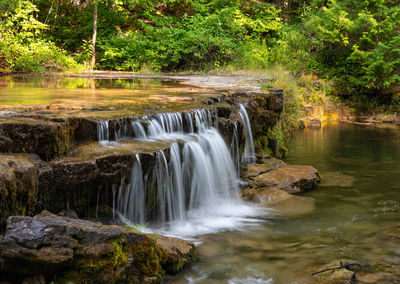 Scenic view of waterfall in forest