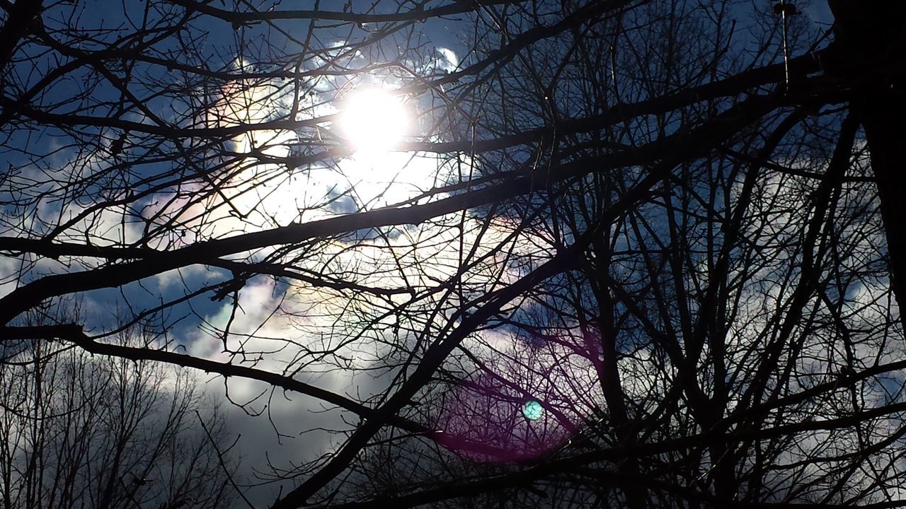 bare tree, branch, low angle view, tree, sun, sky, lens flare, nature, sunbeam, sunlight, tranquility, silhouette, beauty in nature, scenics, outdoors, clear sky, no people, bright, tranquil scene, day