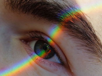 Close-up of human eye