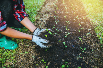 Midsection of person holding plant growing on field