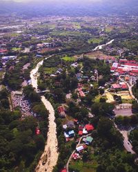 High angle view of trees and buildings in city