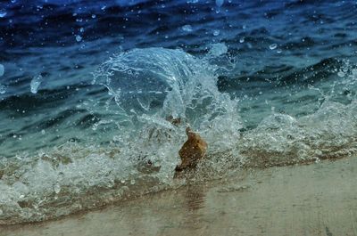 water
