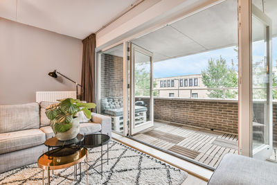 Potted plant on chair by window in house