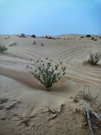 Scenic view of desert against clear sky